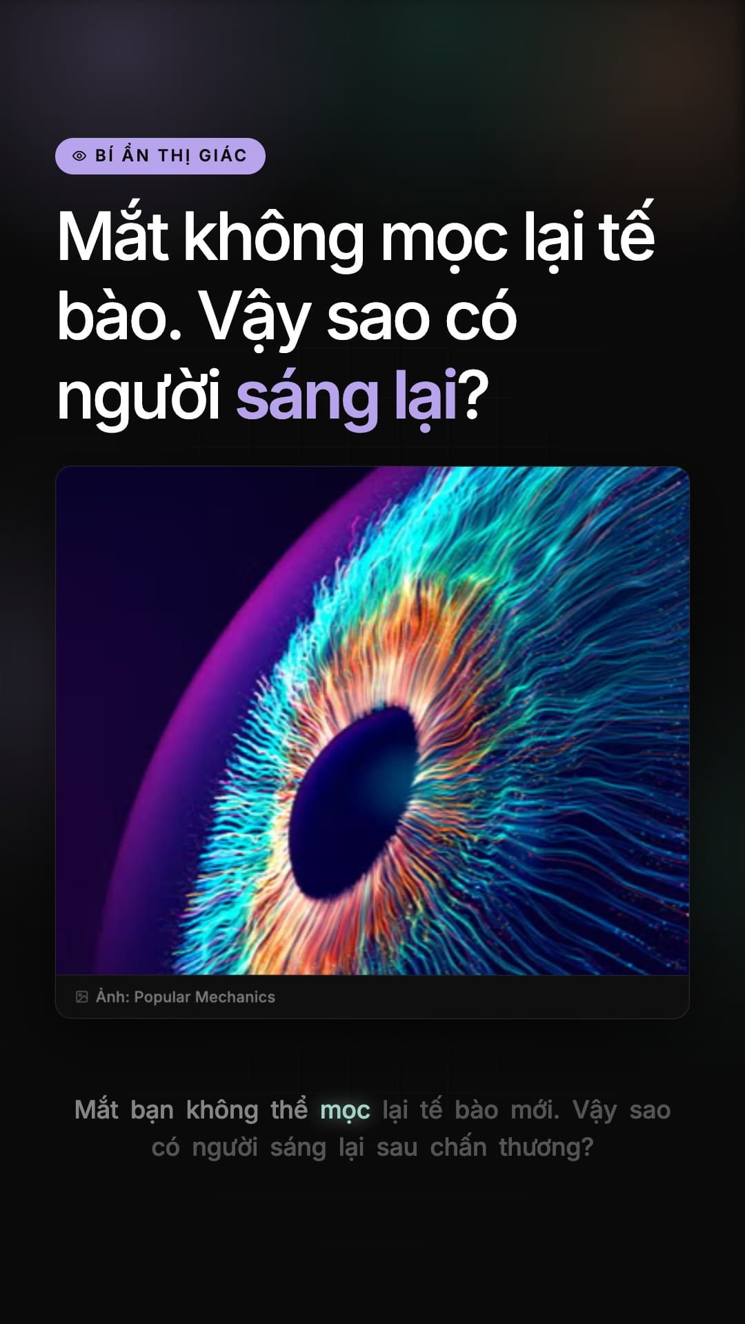 Ảnh demo