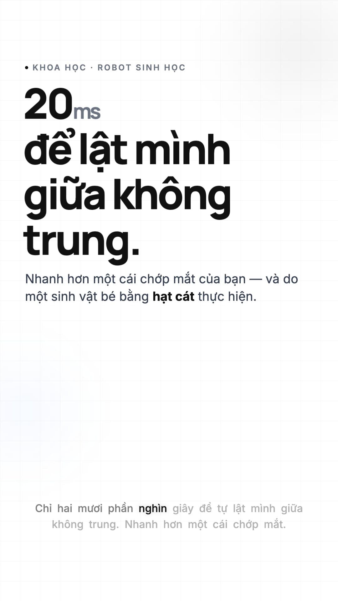 Ảnh demo