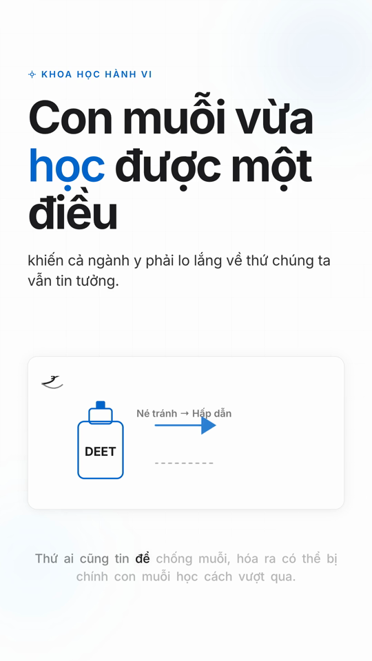 Deet Muoi Hoc